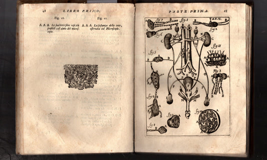 Il Corpo Umano O Breve Storia Dove Con Un Nuovo Metodo Si Descrivono In Compendio Tutti Gli Organi Suoi, E I Loro Principali Ufizi, Per Istruire A Bene Intendere, Secondo Il Nuovo Sistema, La Teorica E Pratica Medicinale