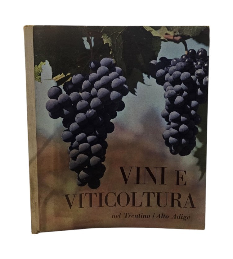 Vini e viticoltura nel Trentino-Alto Adige