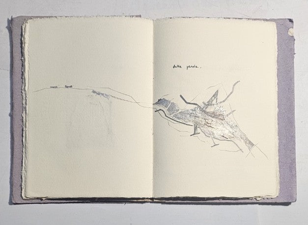Libro d'artista Mauro Corradini per i segni di Danilo Guidetti 1988
