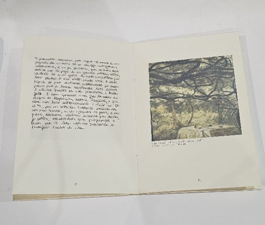 Un accoppiamento giudizioso. Dipinti di Antonio Saliola con un testo di Maurizio Corgnati e sette ricette di Silverio Cineri - IOLIBROCARMINE