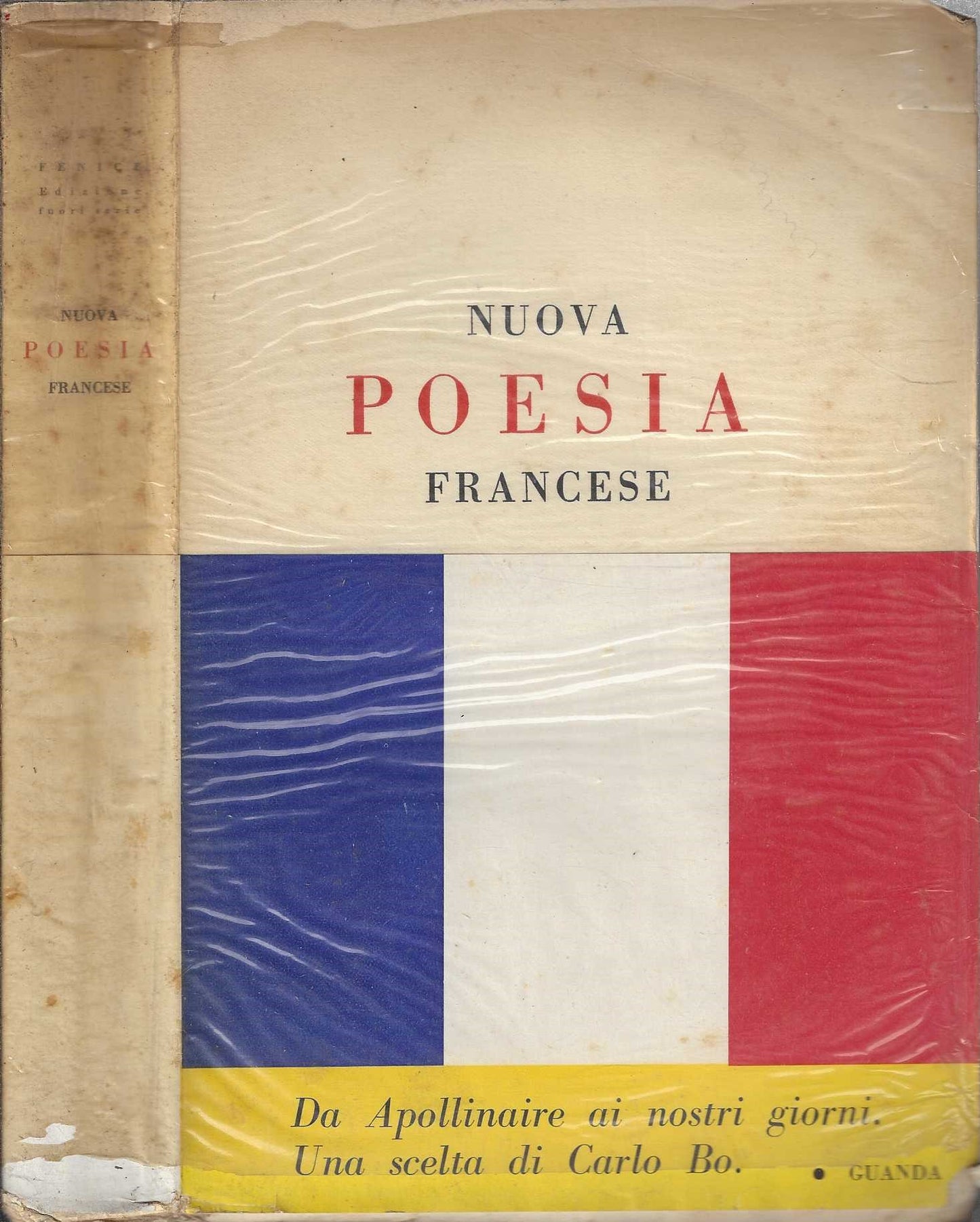Nuova poesia francese da Apollinaire ai nostri giorni - IOLIBROCARMINE