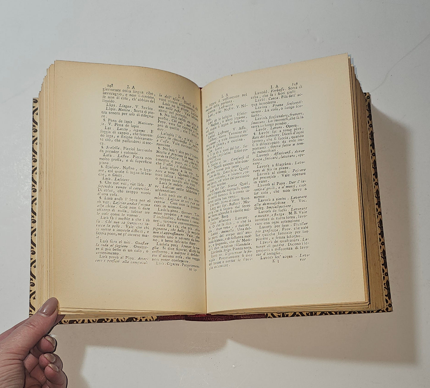 iolibrocarmine pagine interne vocabolario dialetto bresciano