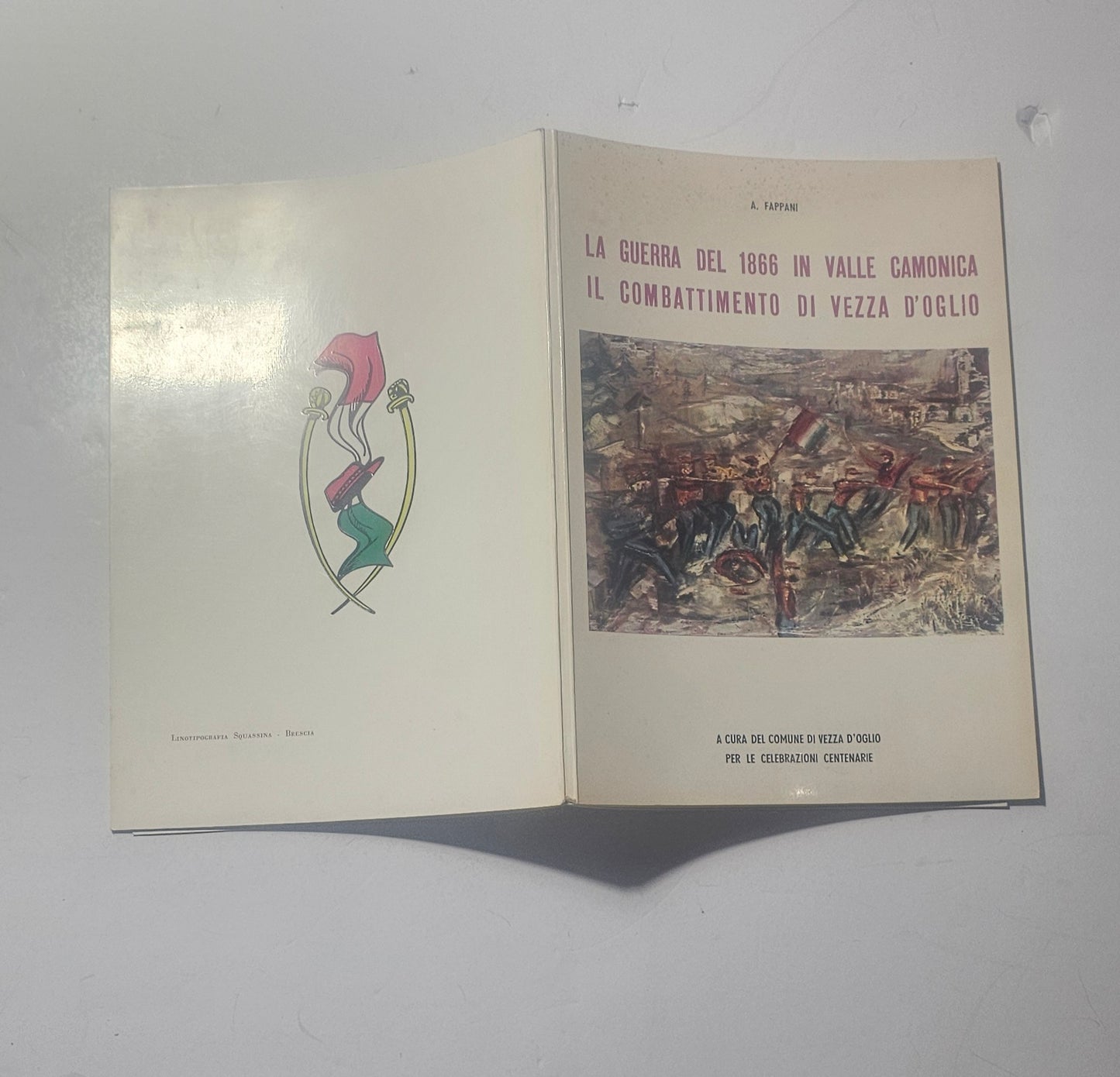 fronte retro copertine illustrate sulla guerra del 1866 in Valle Camonica iolibrocarmine