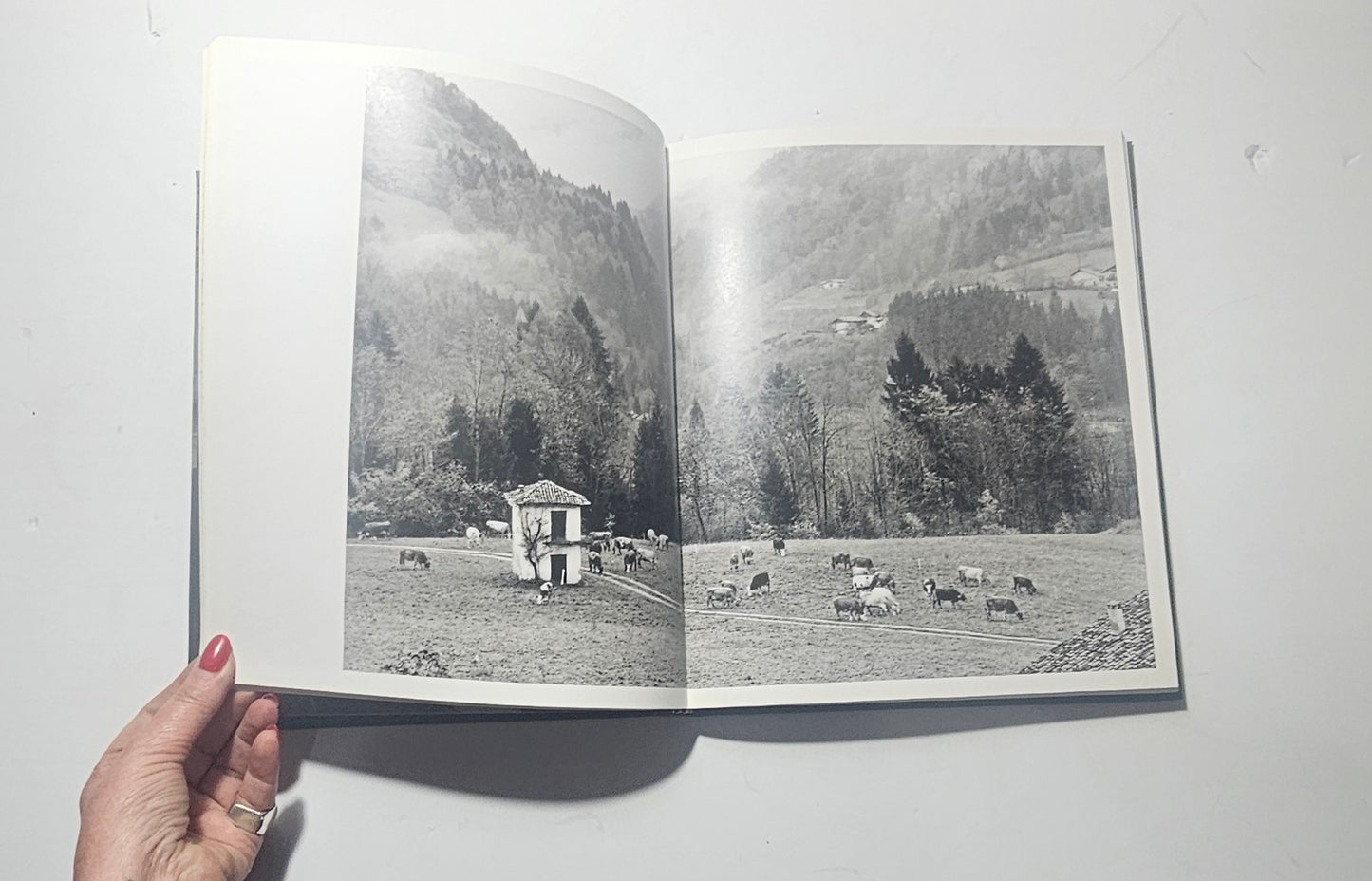 Pagine illustrate in bianco e nero del volume di Gianni Berengo Gardin iolibrocarmine