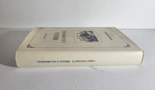 Dettaglio volume storia territorio bresciano io libro carmine
