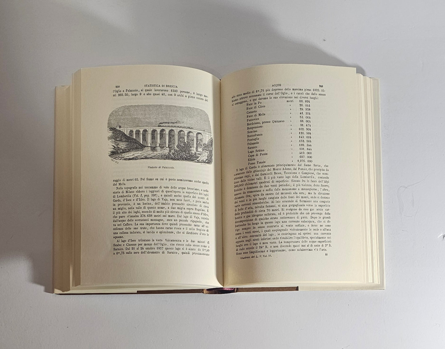 Dettaglio volume storia territorio bresciano io libro carmine