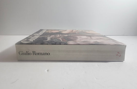 dorso libro giulio romano electa
