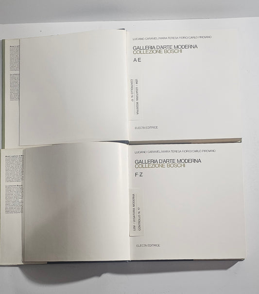 iolibrocarmine catalogo electa arte moderna collezione boschi