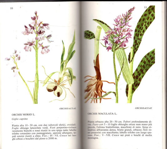 FLORA SPONTANEA PROTETTA / GIUNTA REGIONALE DELLA LOMBARDIA**