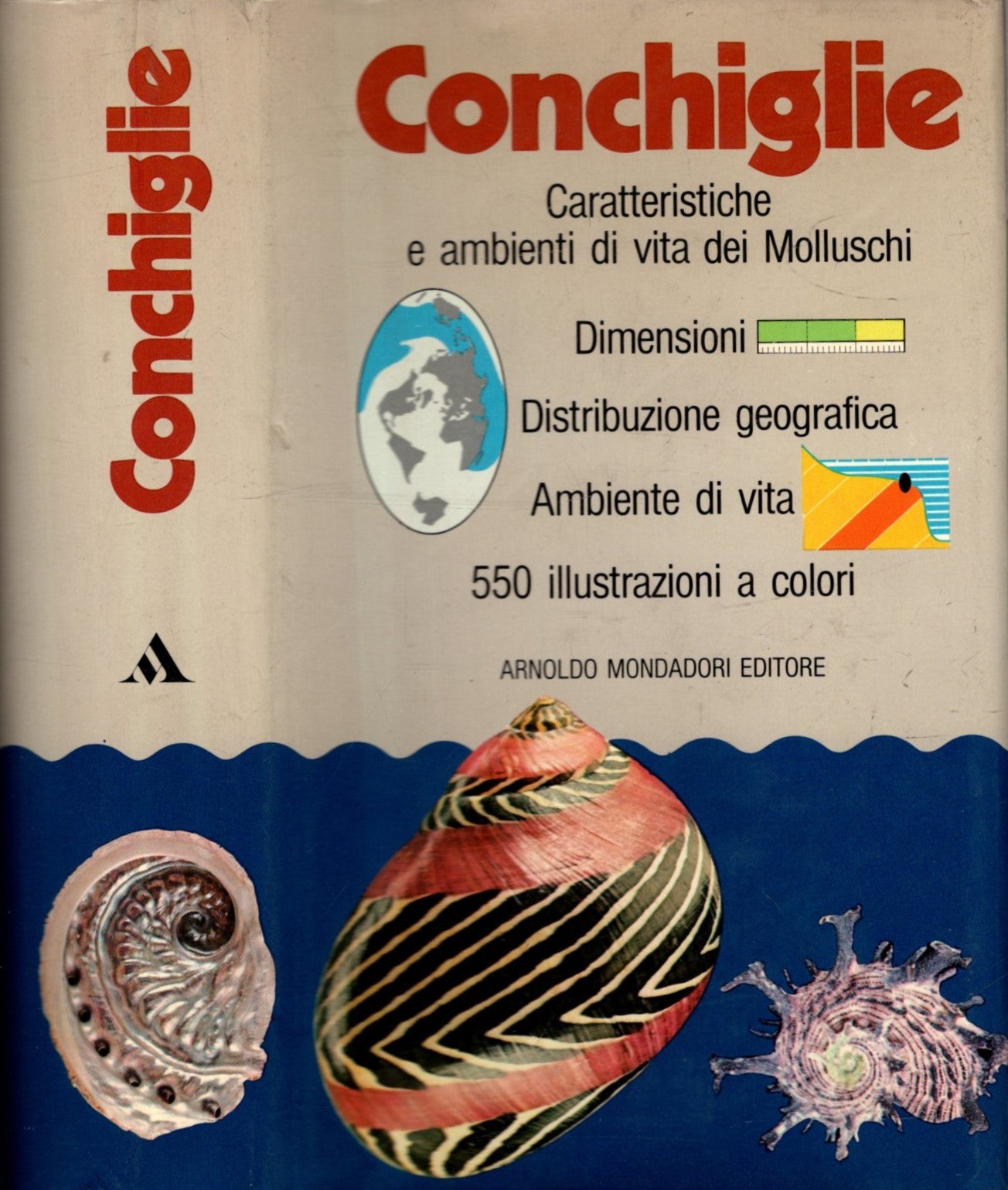 Conchiglie. Caratteristiche e ambienti di vita dei Molluschi **
