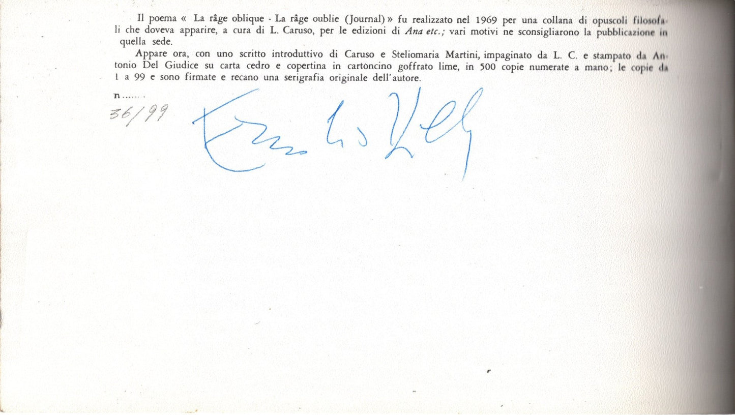 Emilio Villa: “La rage oblique – La rage oublie. Journal”