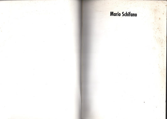 Mario Schifano : una collezione 60/70