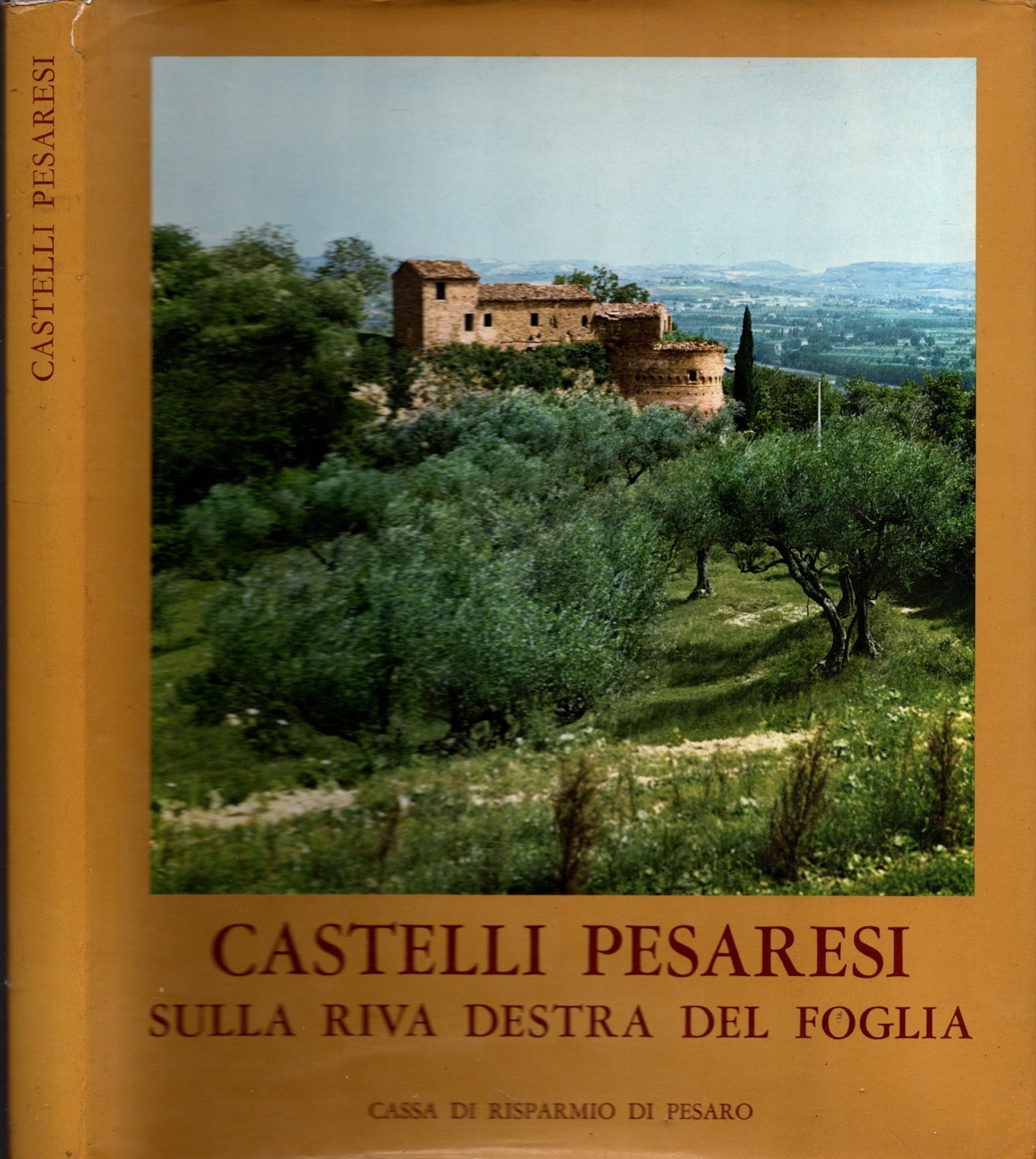 Castelli Pesaresi Sulla Riva Destra Del Foglia di Michelini Tocci Luigi