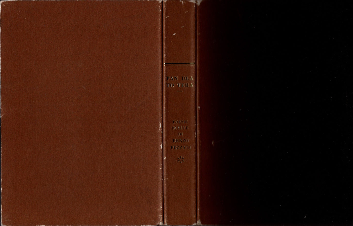 PAN DLA TO TERA Poesie scelte di Renzo Pezzani