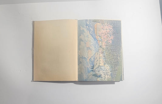iolibrocarmine libro dolomiti 8 acquerelli vintage