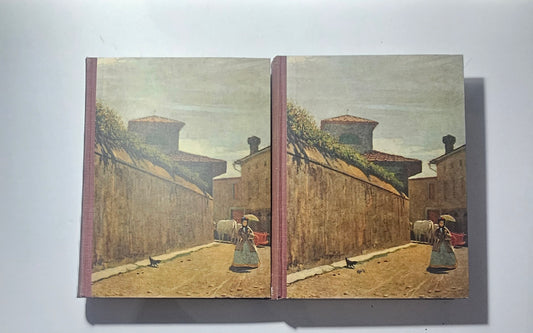 Copertine illustrate dei due volumi Genio Dei Macchiaioli io libro carmine