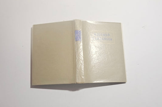 Volume storia matematica Brescia