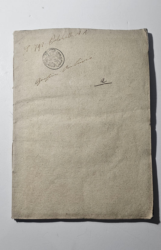 Brossura muta del libro Statuti Ordini e Provisioni Brescia 1795 io libro carmine