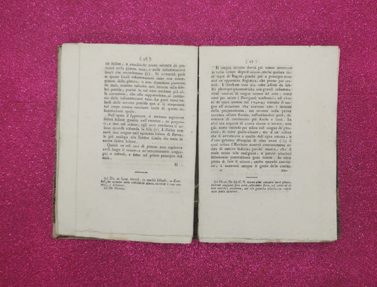 Ricerche sull'indole e sulla cura della febbre gialla del dottor Zecchinelli