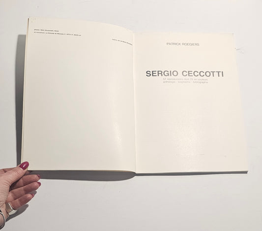 Libro arte contemporanea Sergio Ceccotti frontespizio