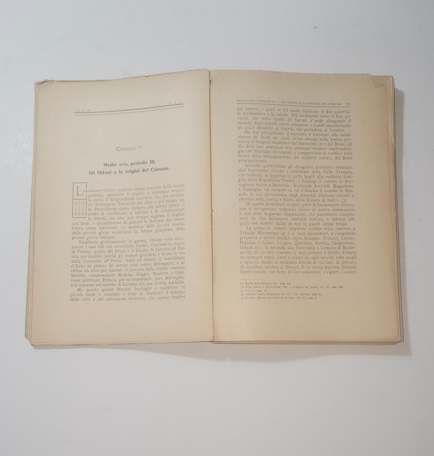 Pagine interne dedicate agli Ottoni e alle origini del Comune di Brescia iolibrocarmine