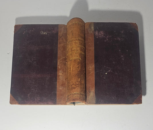 Libro antico elettromedicina dorso mezza pelle titolo in oro