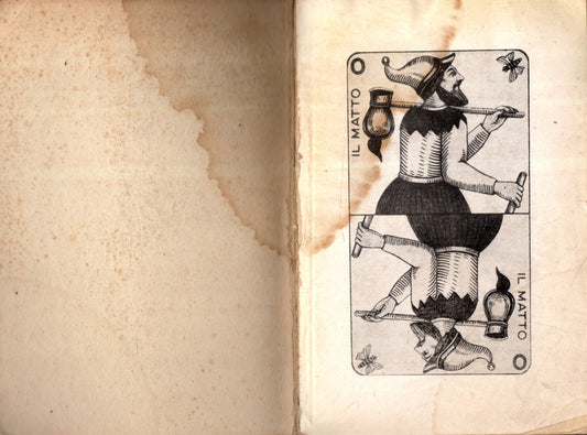 STORIA DELLA PAZZIA - IOLIBROCARMINE