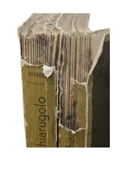 La fata di Montechiarugolo di Alfonso Cavagnari 2 volumi