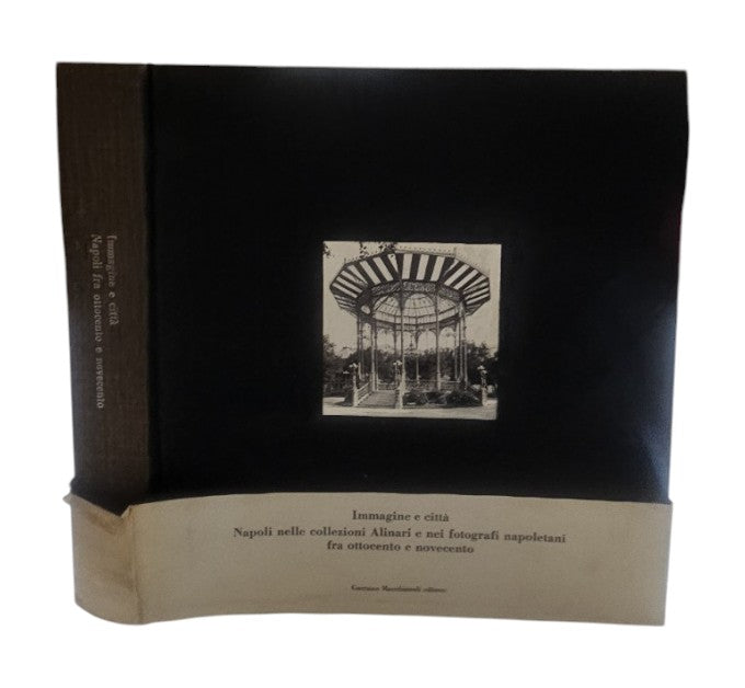 Immagine e città. Napoli nelle collezioni Alinari e nei fotografi napoletani fra ottocento e novecento