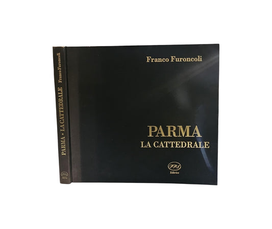 Franco Furoncoli - Parma La cattedrale... Luci e silenzi del passato ....