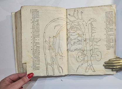 Gabrielis Falloppii Mutinensis Medici 1569