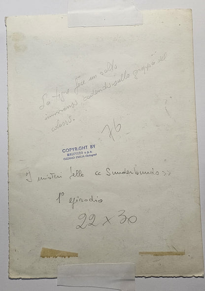 5 disegni originali di Antonio D'agostini per Malipiero