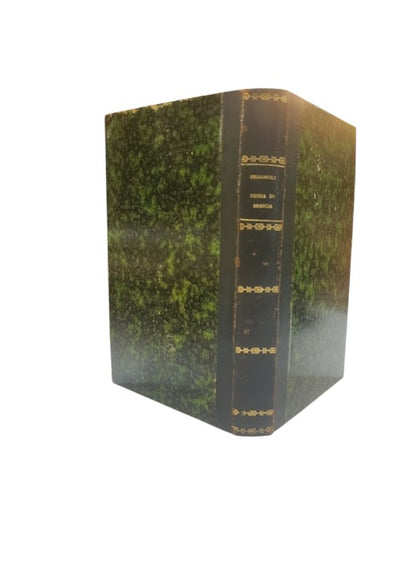 Paolo Brognoli - Nuova guida per la città di Brescia