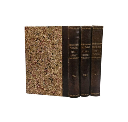 Storia religiosa del popolo fiorentino, dai primi tempi fino a noi, del sacerdote Dott. Pietro Prezzolini