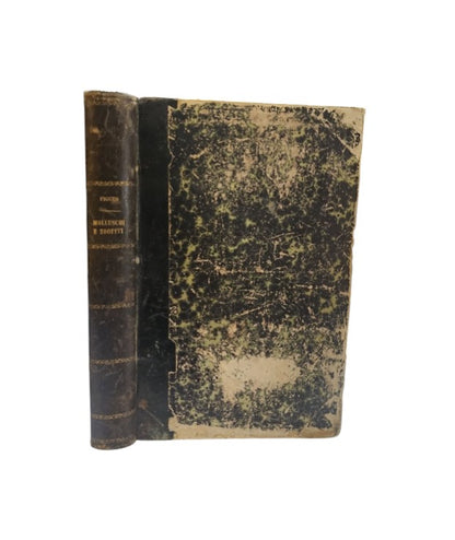 I molluschi e i zoofiti. La vita e i costumi degli animali di Luigi Fuguier