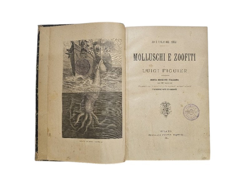 I molluschi e i zoofiti. La vita e i costumi degli animali di Luigi Fuguier