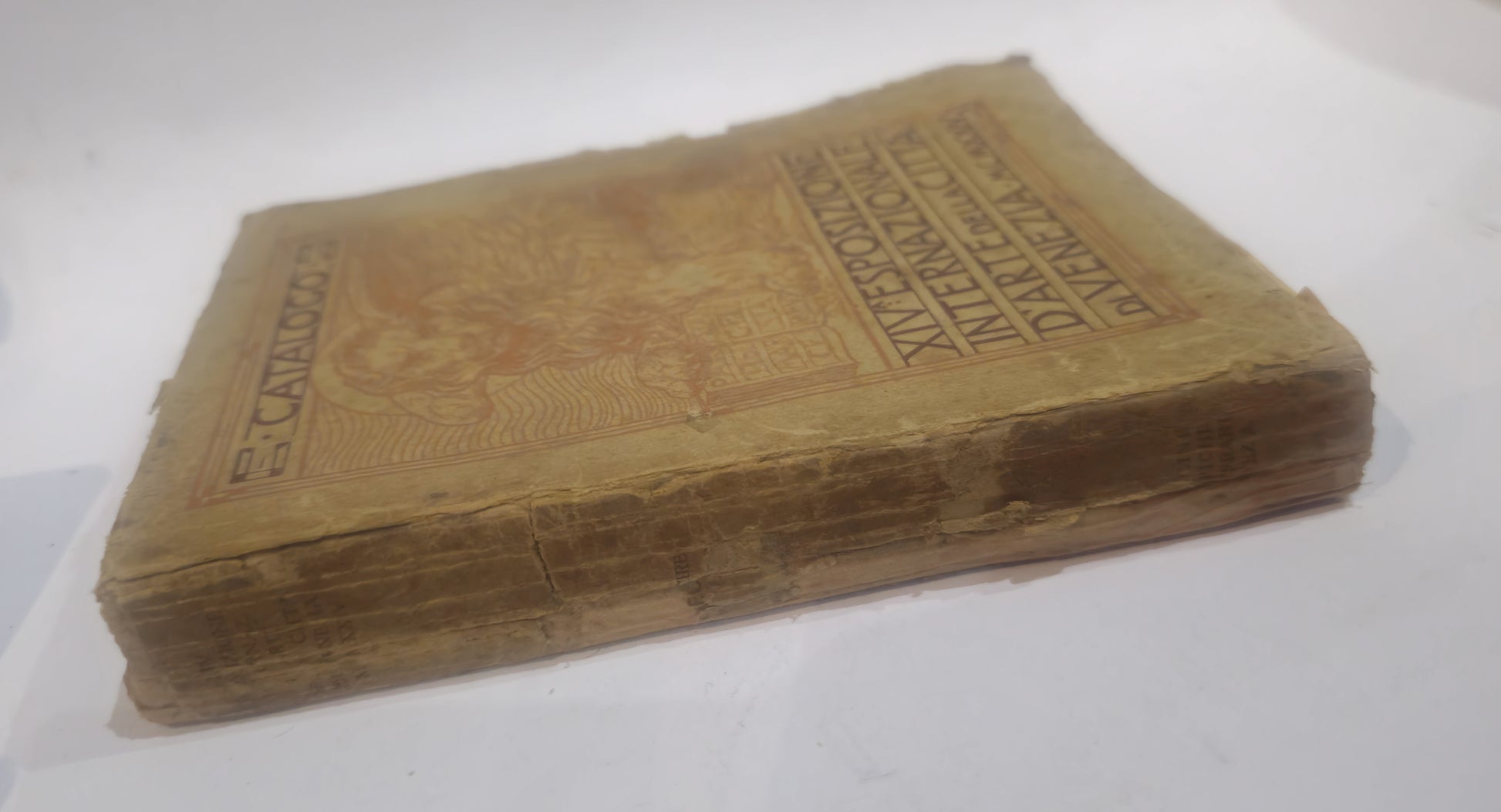 XIV Esposizione Internazionale d'Arte della Città di Venezia, tenutasi nel 1924 - IOLIBROCARMINE