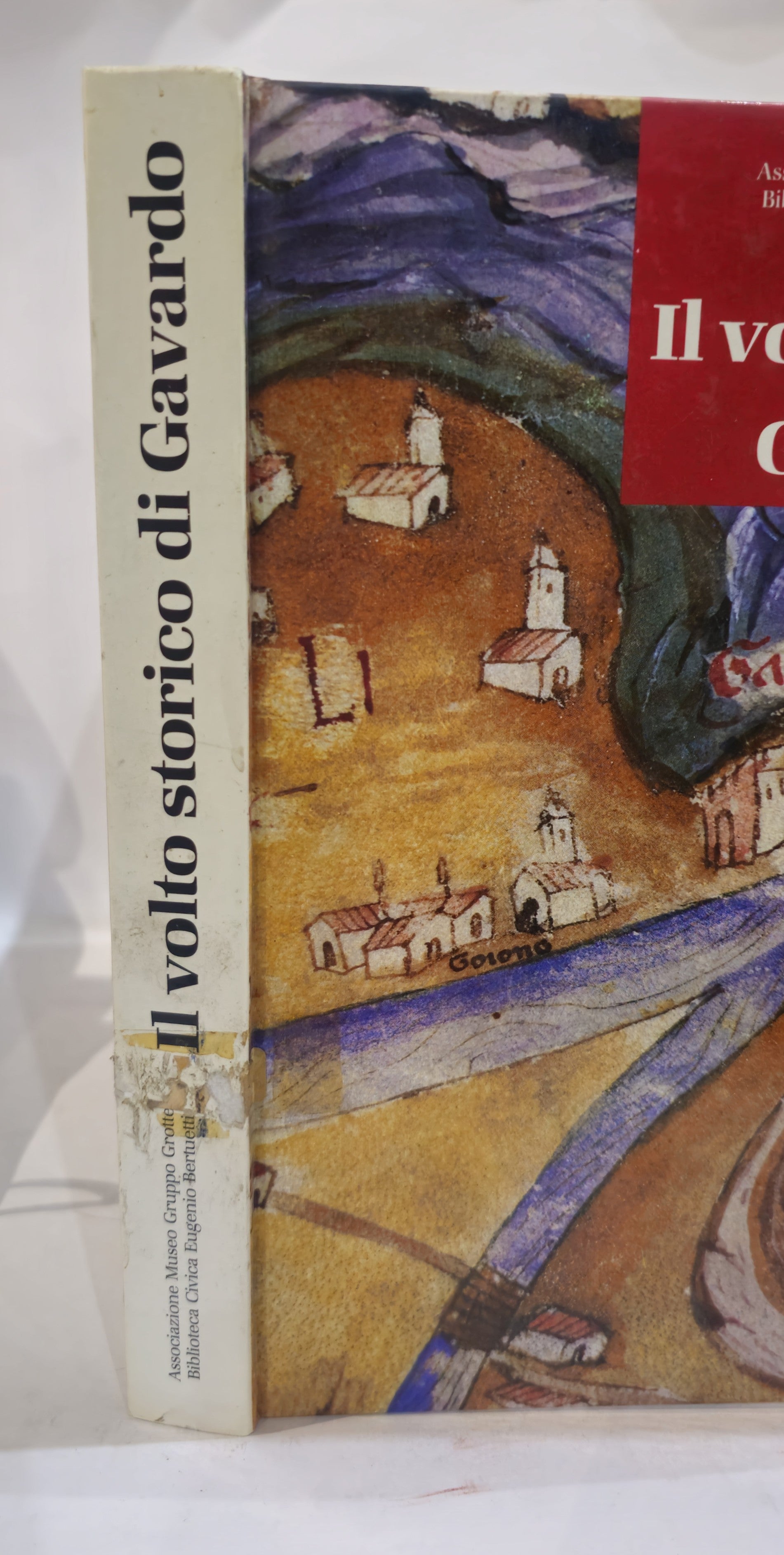 Il volto storico di Gavardo - IOLIBROCARMINE