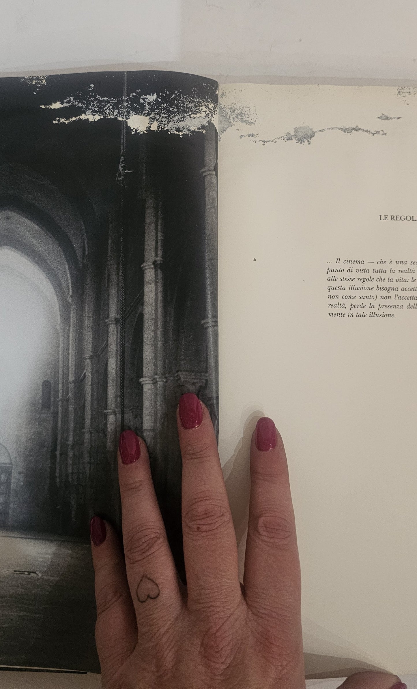 Pier Paolo Pasolini – Le regole di un’illusione. I film, il cinema | Fondo Pasolini