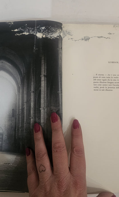 Pier Paolo Pasolini – Le regole di un’illusione. I film, il cinema | Fondo Pasolini