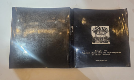 Immagine e città. Napoli nelle collezioni Alinari e nei fotografi napoletani fra ottocento e novecento