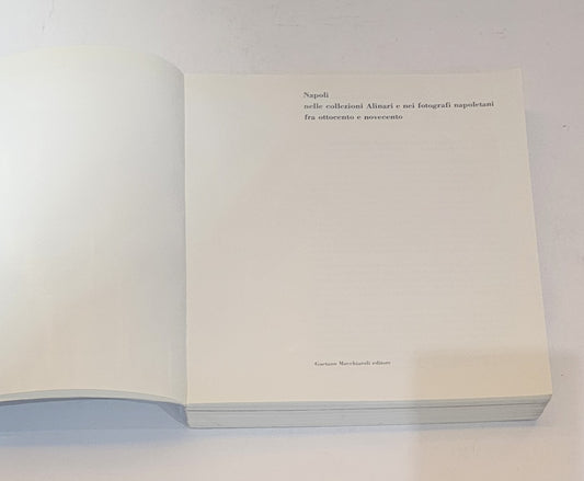 Immagine e città. Napoli nelle collezioni Alinari e nei fotografi napoletani fra ottocento e novecento