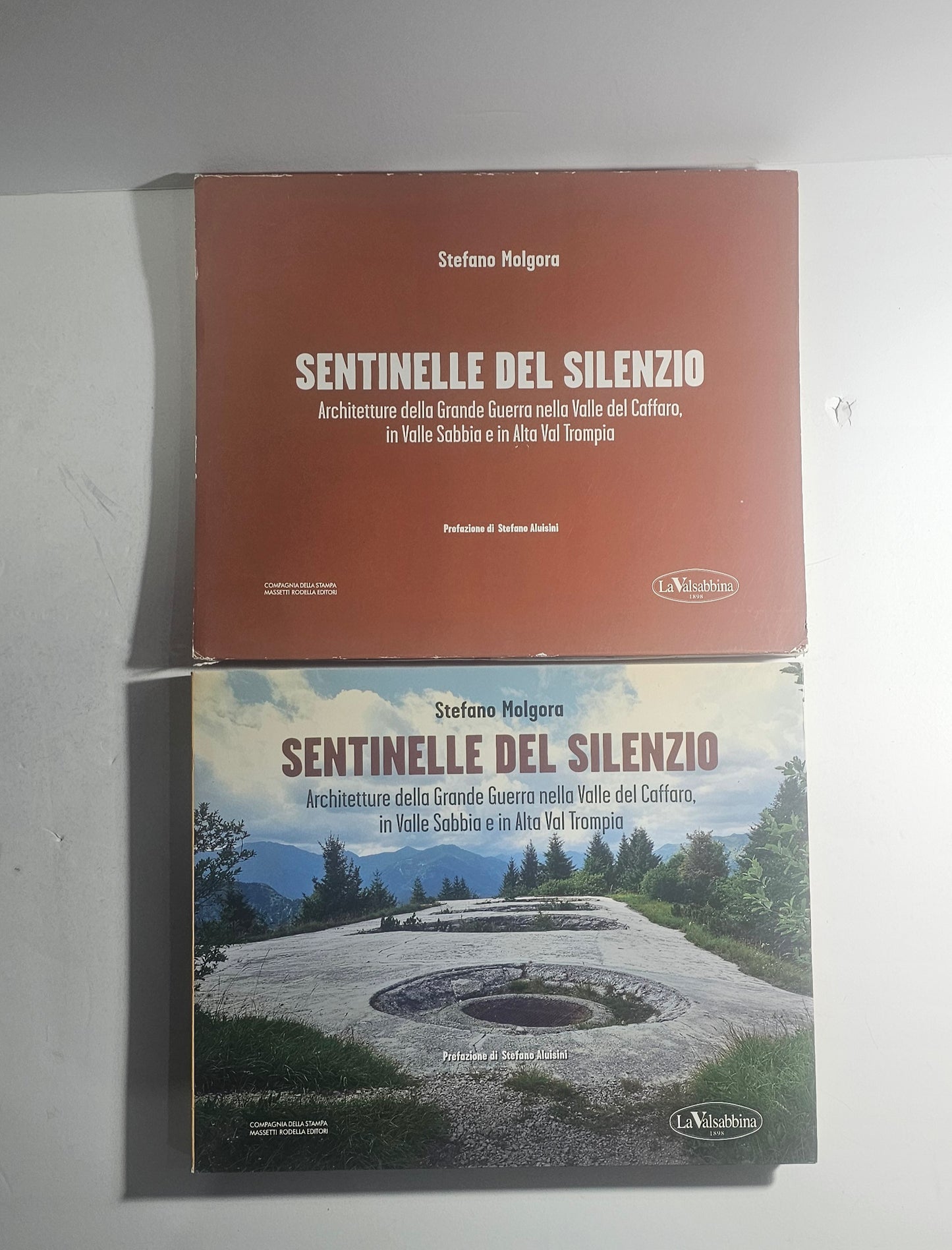 iolibrocarmine copertina Sentinelle del Silenzio Stefano Molgora
