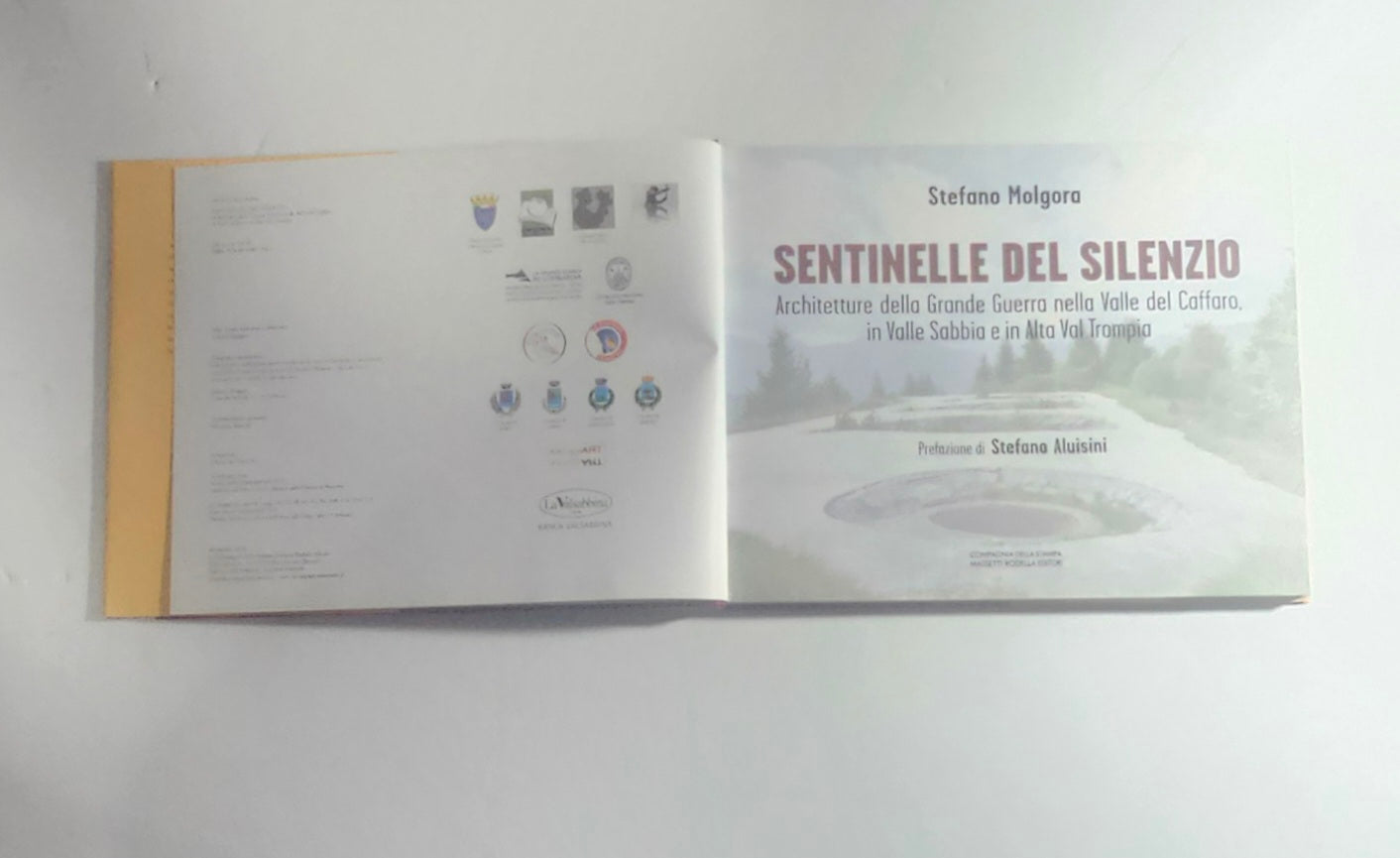 iolibrocarmine pagine illustrate fortificazioni alpine
