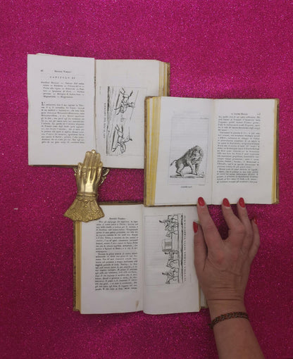 Secondo Viaggio In Persia, In Armenia E Nell'asia Minore Dal 1810 Al 1816