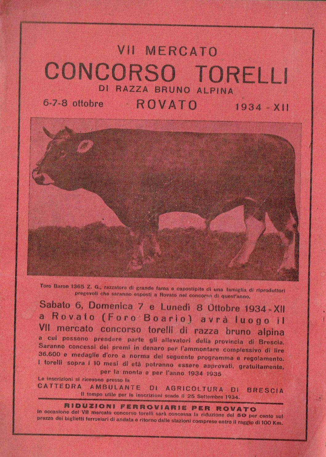 VII CONCORSO TORELLI BRUNO ALPINA ROVATO 6-7--8-OTTOBRE 1934 PROGRAMMA