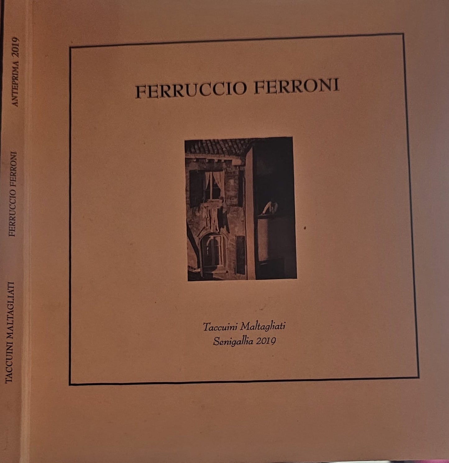 Ferruccio Ferroni Taccuini Maltagliati