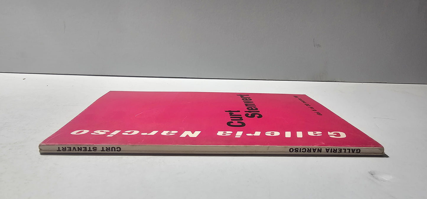 dorso catalogo arte galleria narciso torino
