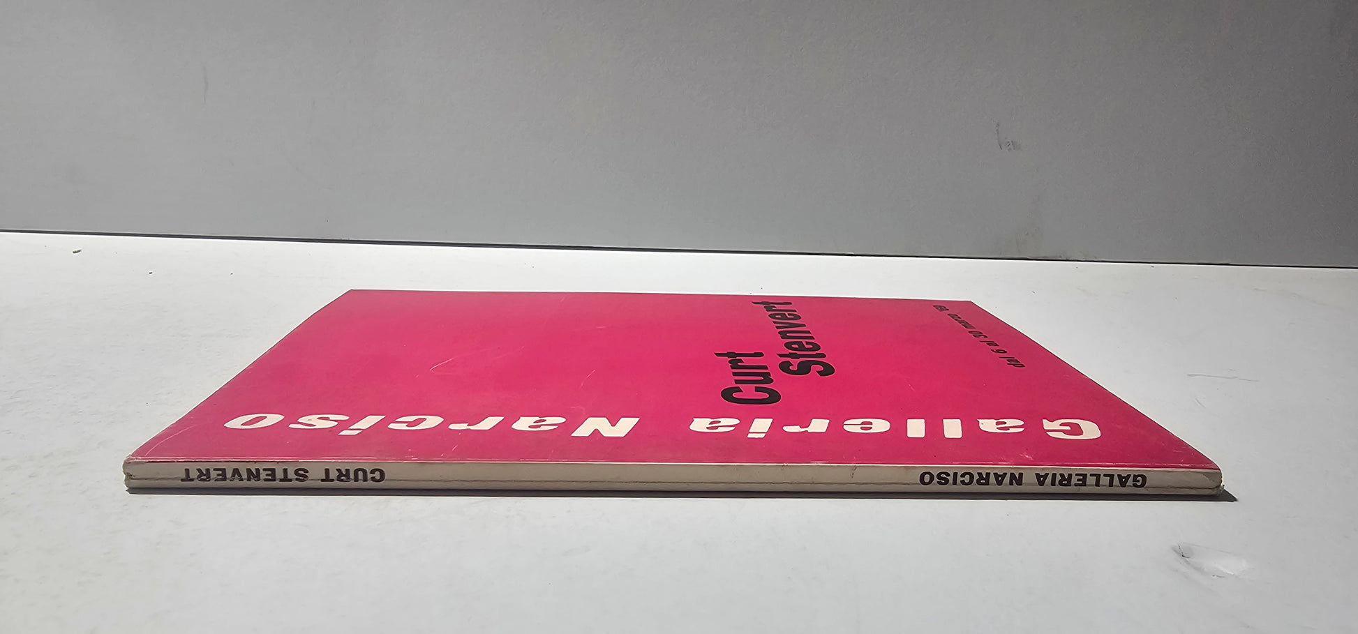 dorso catalogo arte galleria narciso torino

