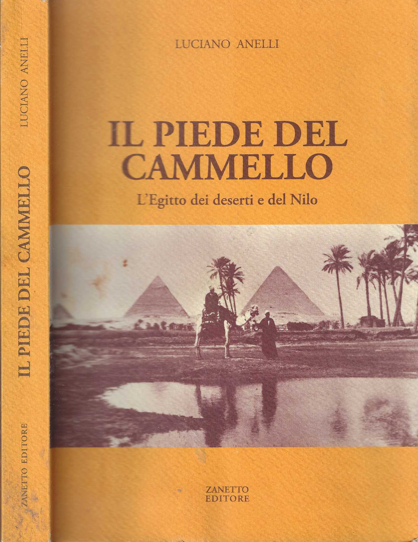 Il Piede Del Cammello L'egitto Dei Deserti E Del Nilo / Luciano Anelli *